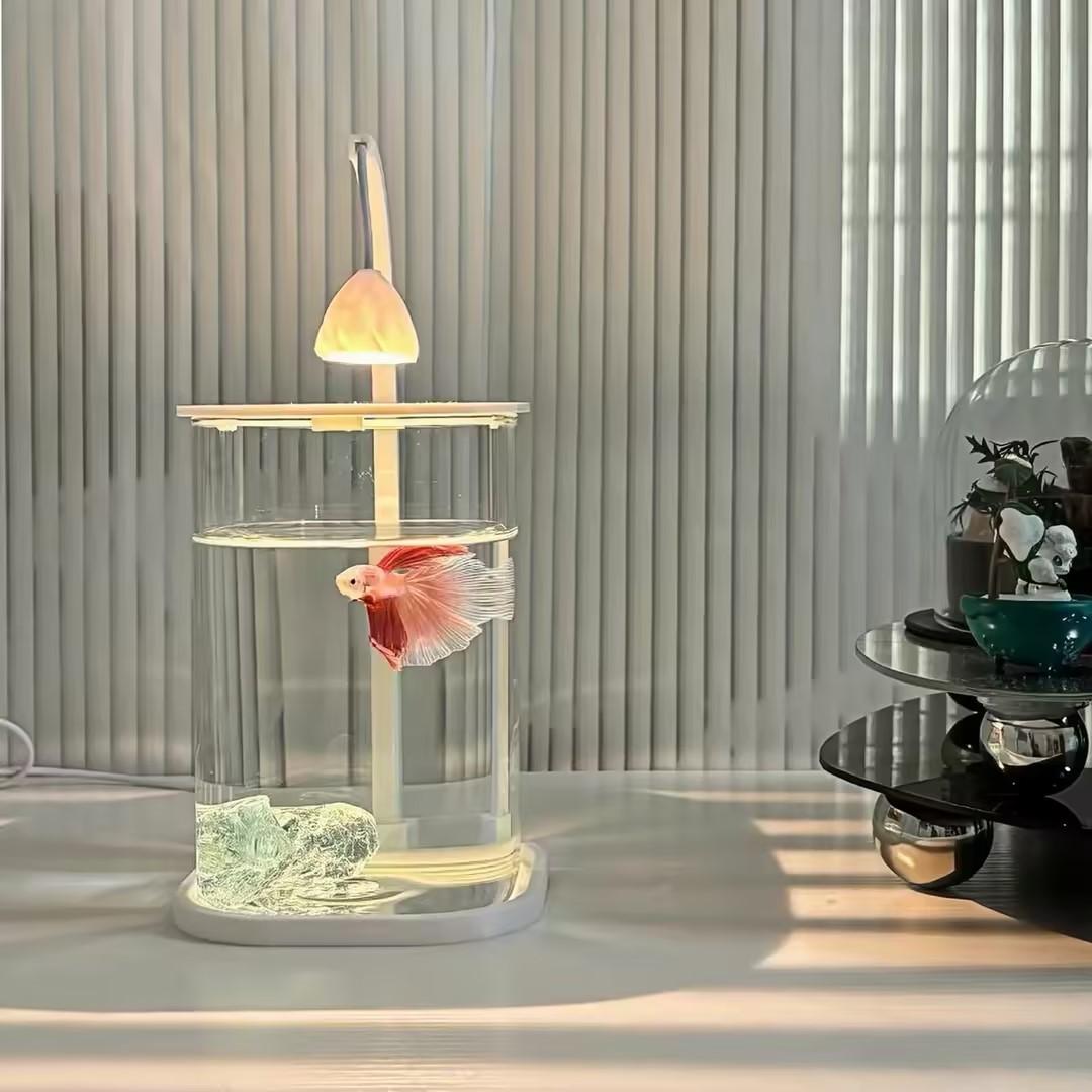 Planted Aquarium For Betta - 360 ° Acquario Panoramico Trasparente da