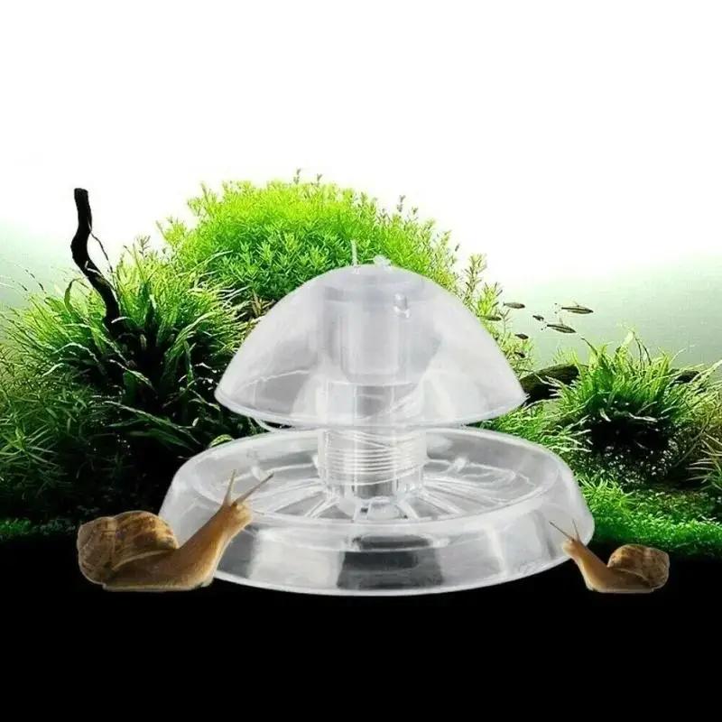 Planted Aquarium With Fish - Nuova Trappola per Lumache in Plastica