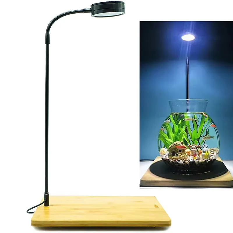 Planted Aquarium For Betta - Luce LED a Spettro Completo con