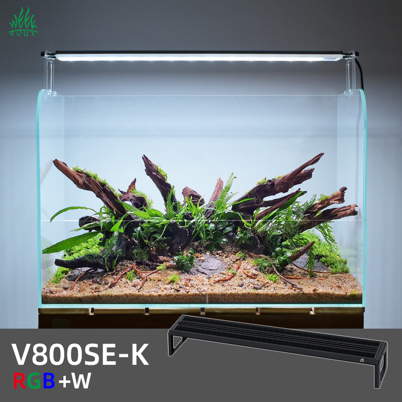 Planted Aquarium Ada - ZXY WEEK ADA Stesso tipo Cielo