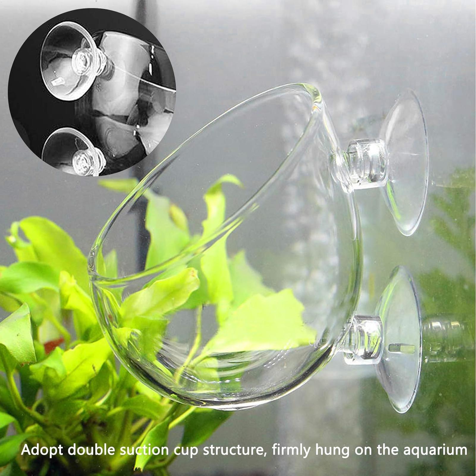Planted Aquarium Maintenance - Vaso in vetro per piante acquatiche