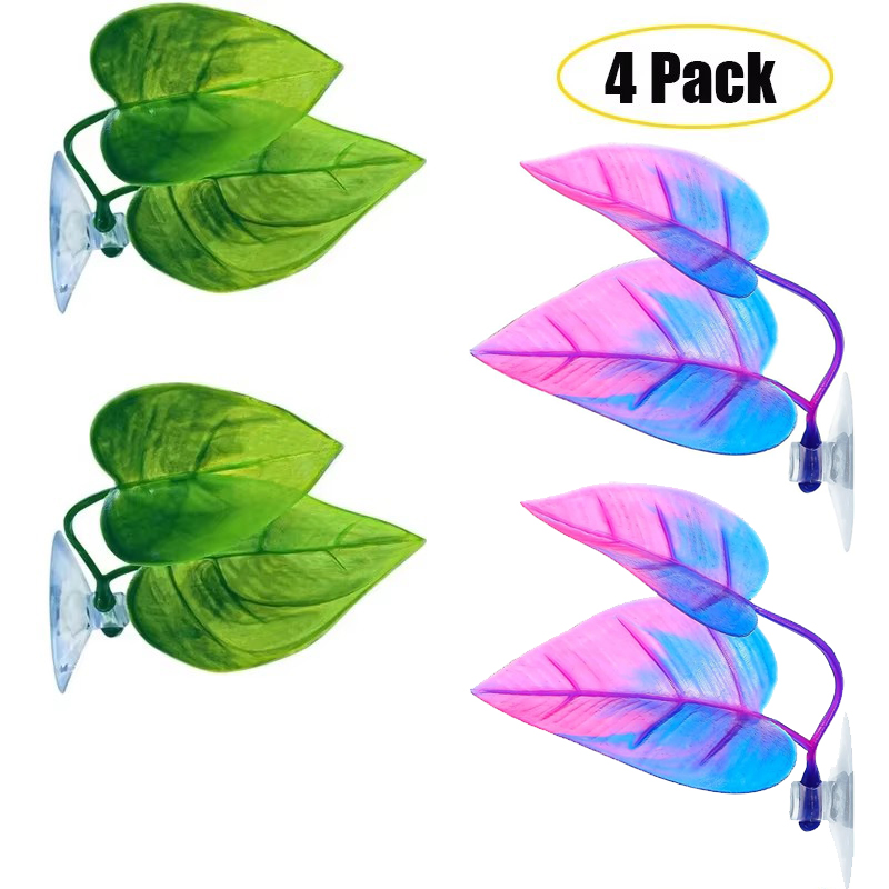 Planted Aquarium For Betta - Amaca a foglia di pesce Betta