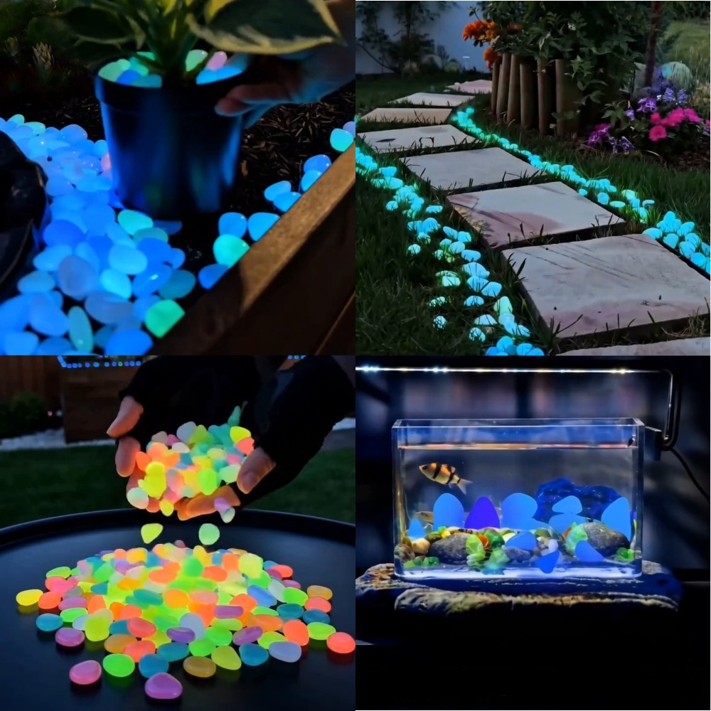 Planted Aquarium With Fish - Ciottoli luminosi colorati che si illuminano
