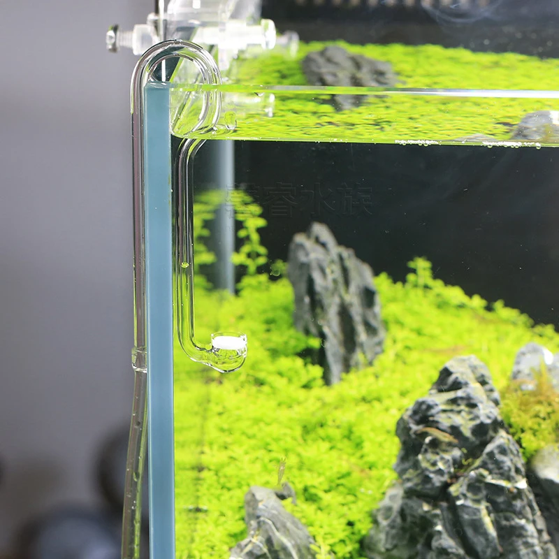Planted Aquarium Ada - VIV BETTER LIFE Sistema di CO2