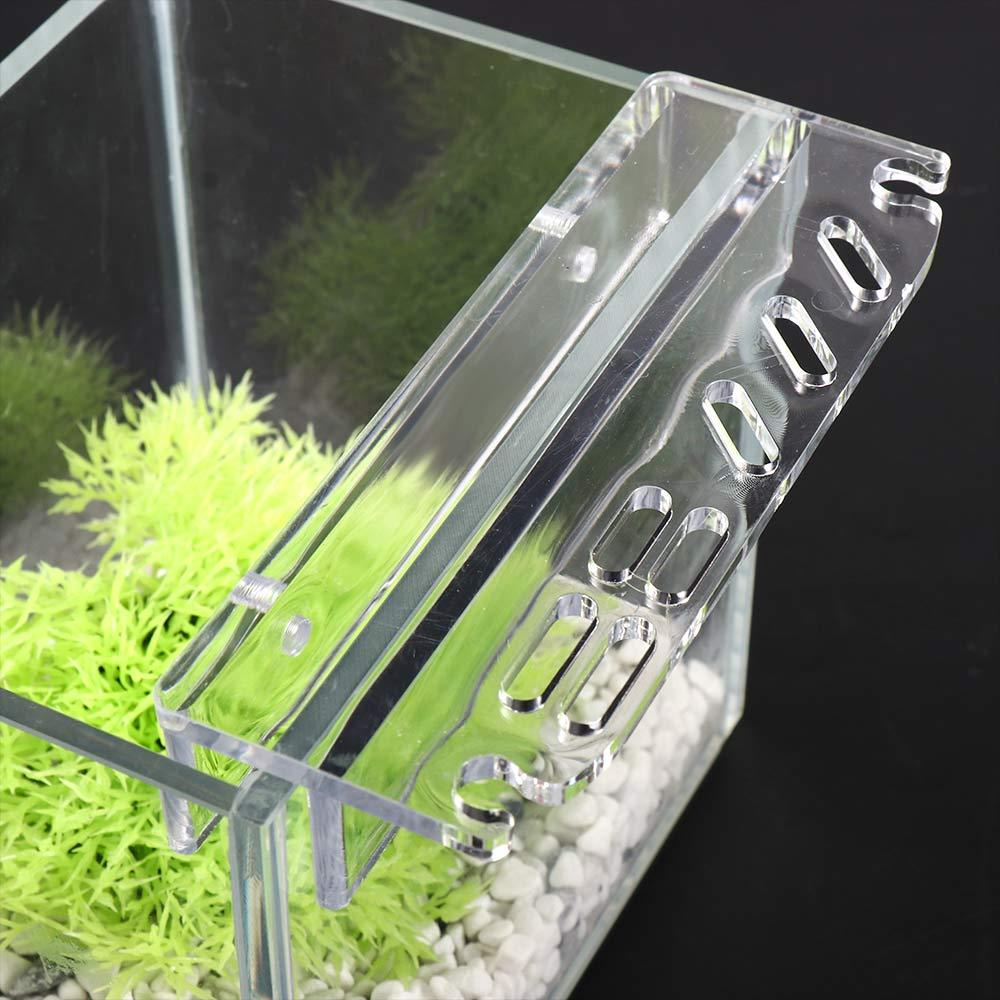 Planted Aquarium Maintenance - Portaoggetti per Accessori di Pulizia Acquario,