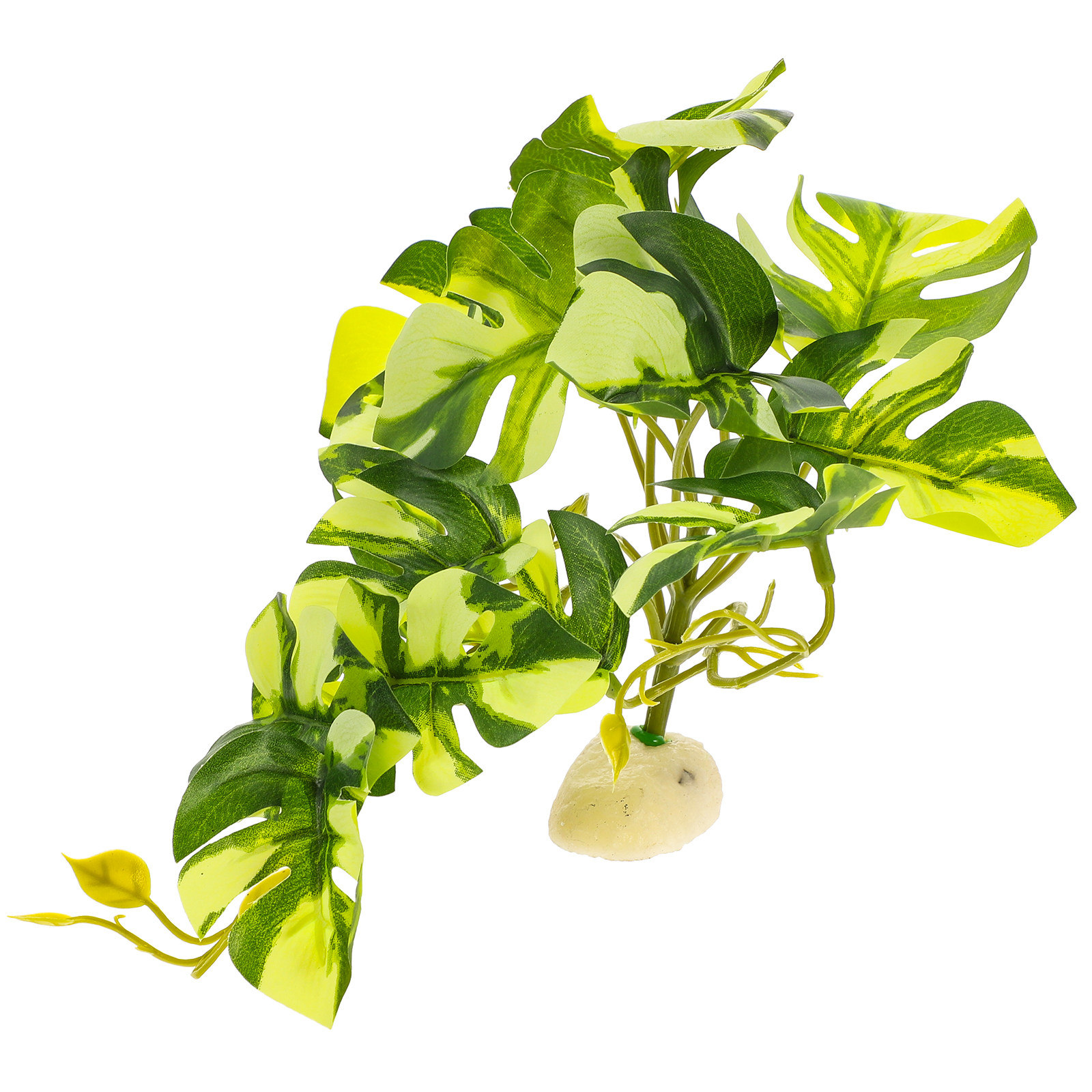 Planted Aquarium With Fish - Pianta di Monstera Realistica in Resina,