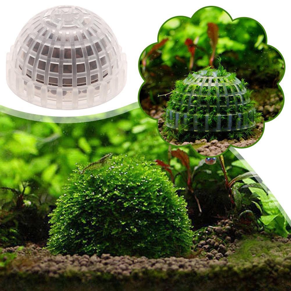Aquarium Plant Red - Piante decorative per acquari Porta sfere
