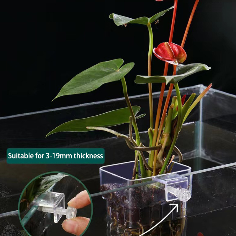 Planted Aquarium With Fish - Multifunzionale Fish Aquarium Water Grass Planting