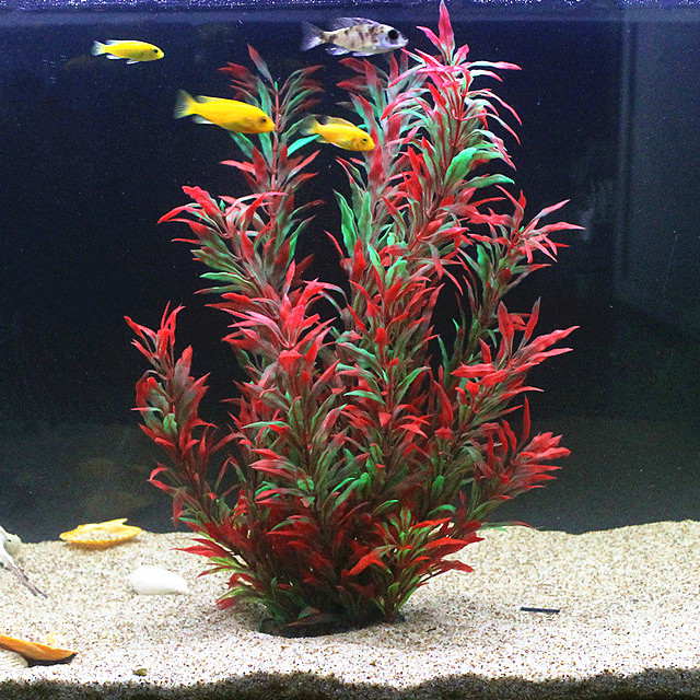 Planted Aquarium Equipment - 50CM Acquario artificiale Piante rare Acquario