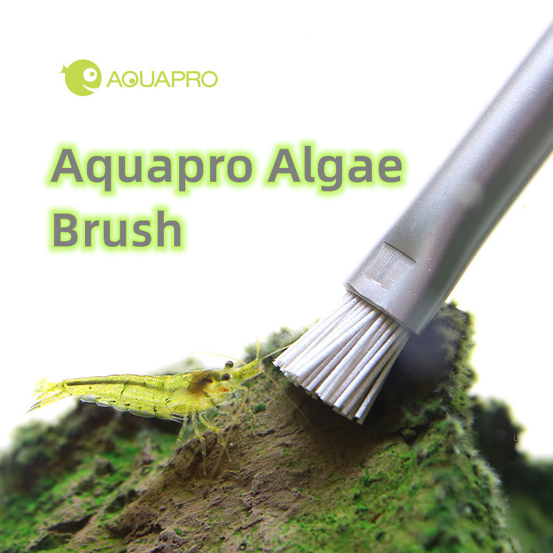 Planted Aquarium Ada - Spazzola per alghe acquapro acquario serbatoio