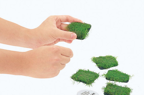 ADA corna di cervo muschio fil - Planted Aquarium Ada recensione e prezzo