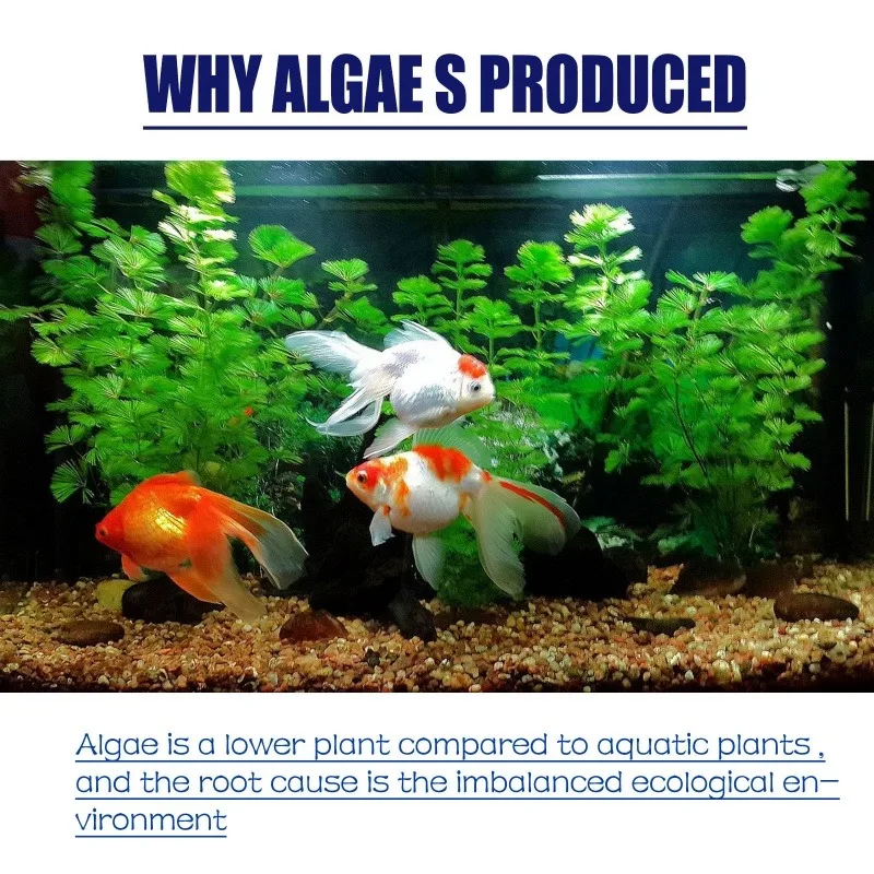 Algaecida ad alta efficienza d - Planted Aquarium Equipment recensione e prezzo