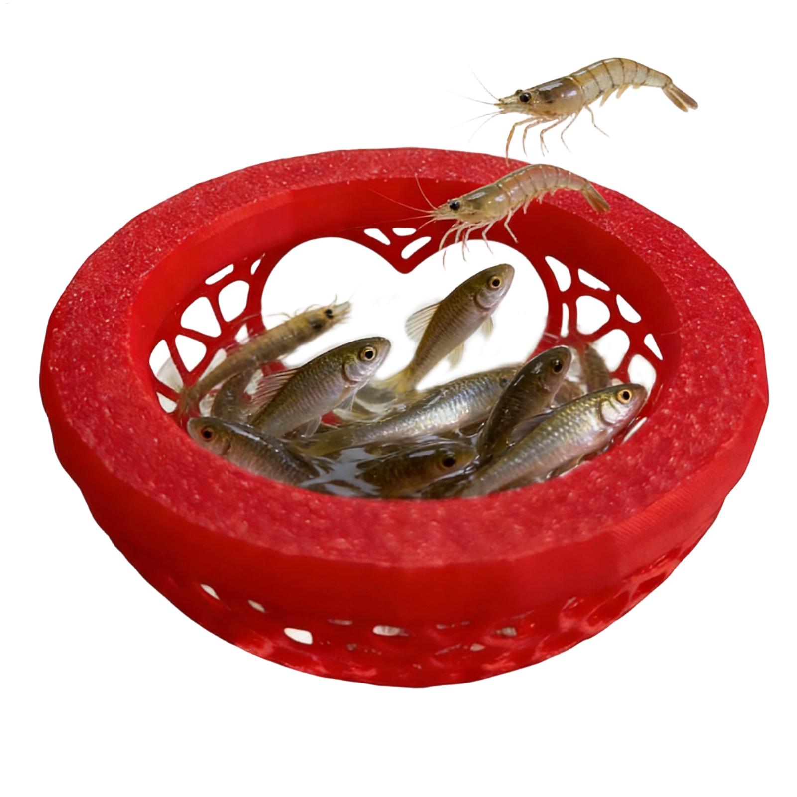 Rifugio galleggiante per betta - Planted Aquarium For Betta recensione e prezzo