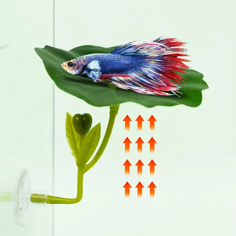 Amaca a foglia verde da 1 pezz - Planted Aquarium For Betta recensione e prezzo