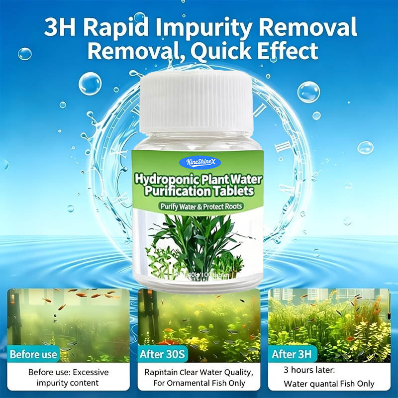 Compresse per la Purificazione - Planted Aquarium Equipment recensione e prezzo