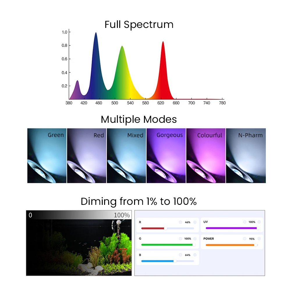 Luce LED per acquario piantato - Planted Aquarium With Fish recensione e prezzo