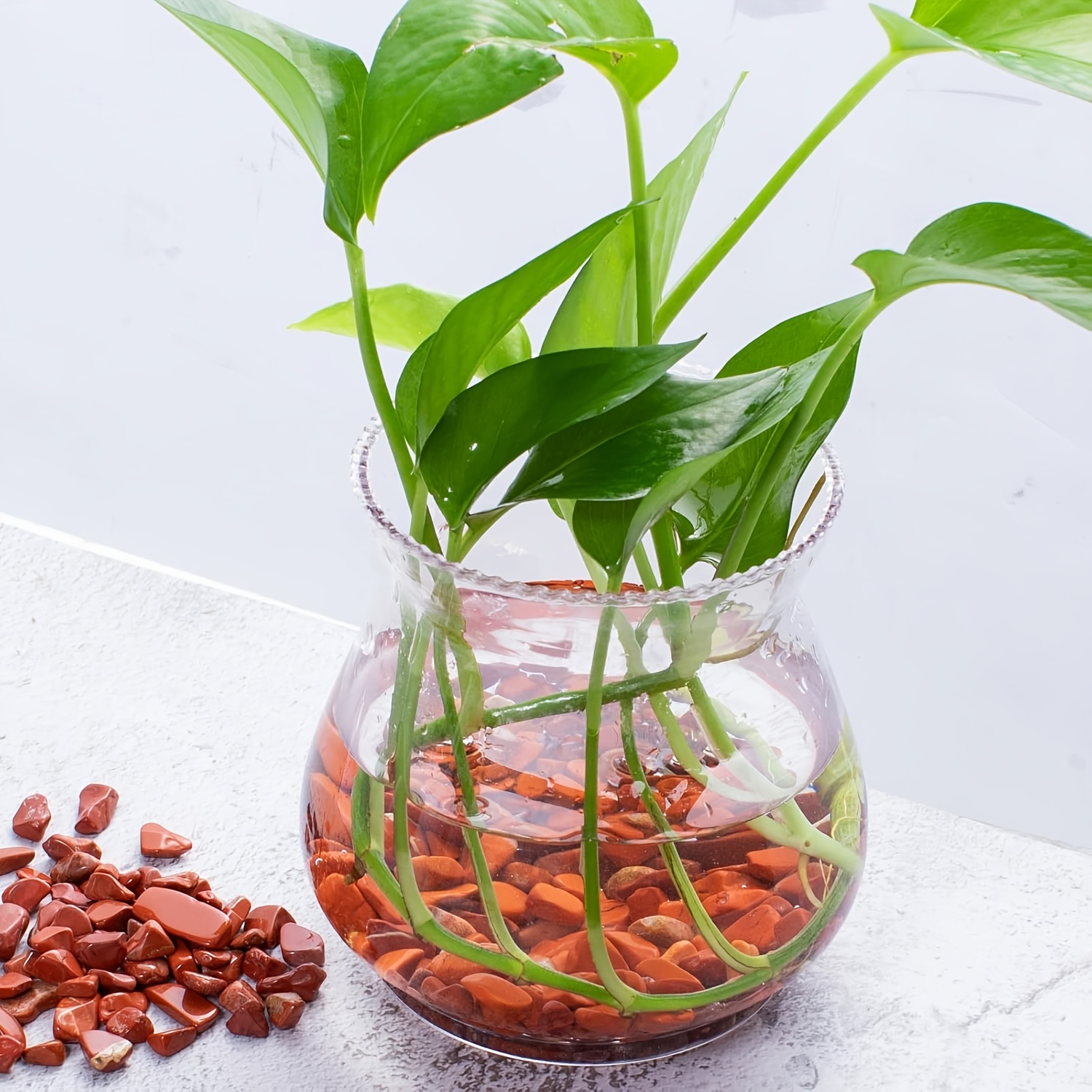 Pietra burattata di diaspro ro - Aquarium Plant Red recensione e prezzo
