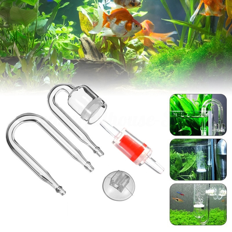 Set da 4 pezzi diffusore di CO - Planted Aquarium Maintenance recensione e prezzo