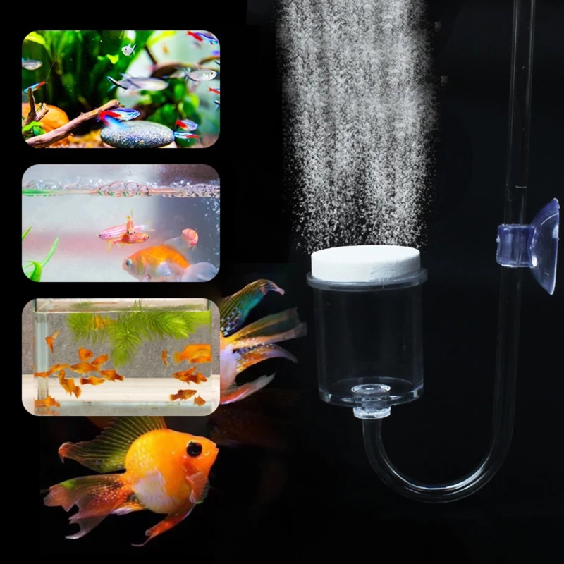 Set da 4 pezzi diffusore di CO - Planted Aquarium Maintenance recensione e prezzo