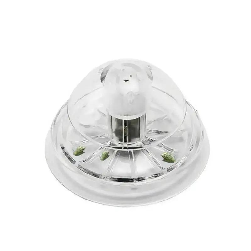 Nuova Trappola per Lumache in  - Planted Aquarium With Fish recensione e prezzo