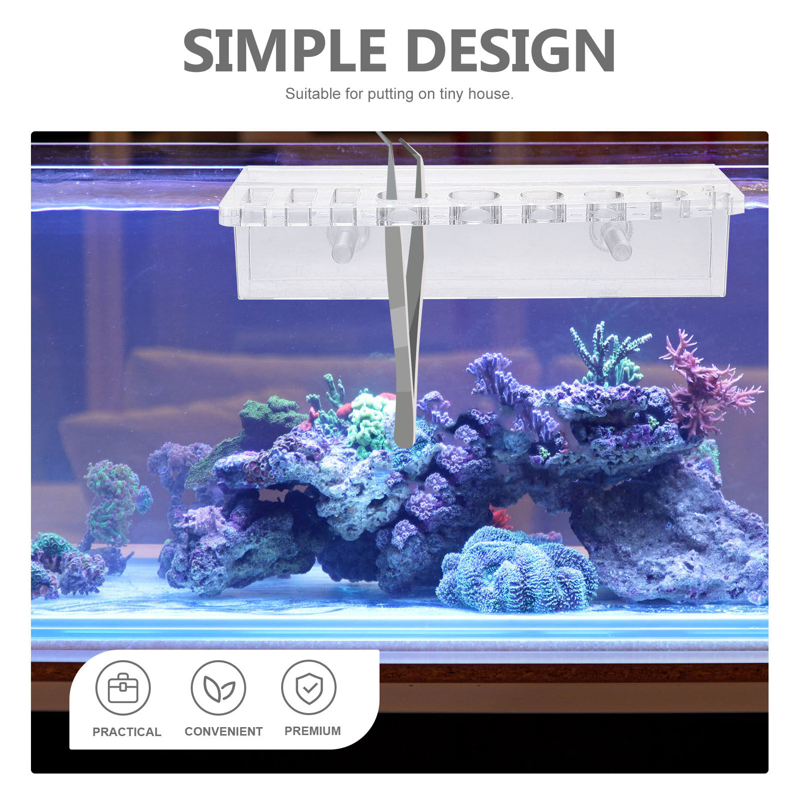 Supporto per Attrezzi da Acqua - Planted Aquarium Maintenance recensione e prezzo