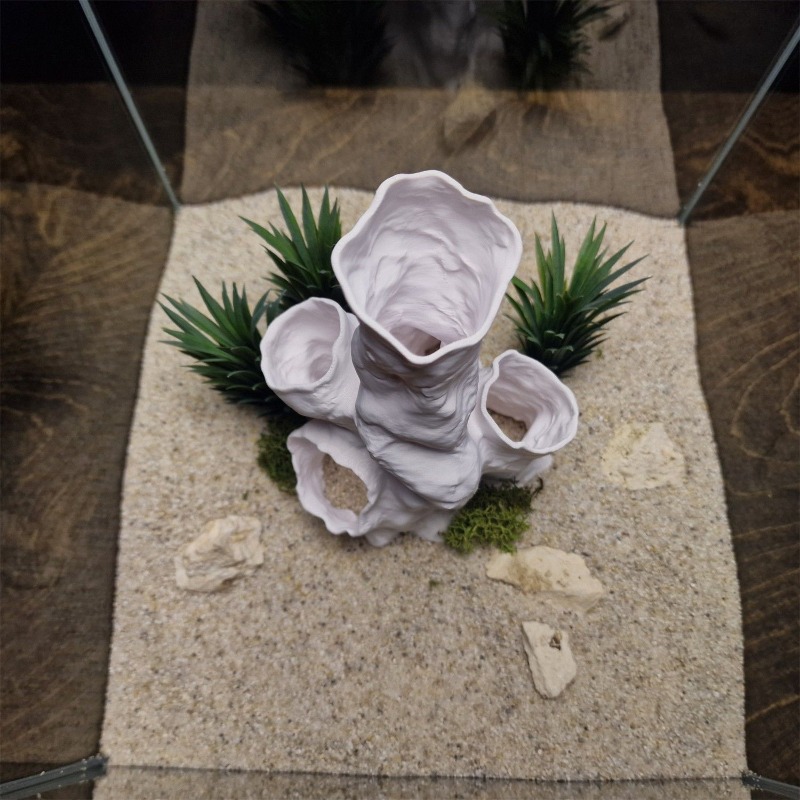 Offerta Speciale: Tunnel Coral - Planted Aquarium For Betta recensione e prezzo