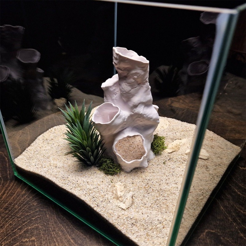 Offerta Speciale: Tunnel Coral - Planted Aquarium For Betta recensione e prezzo