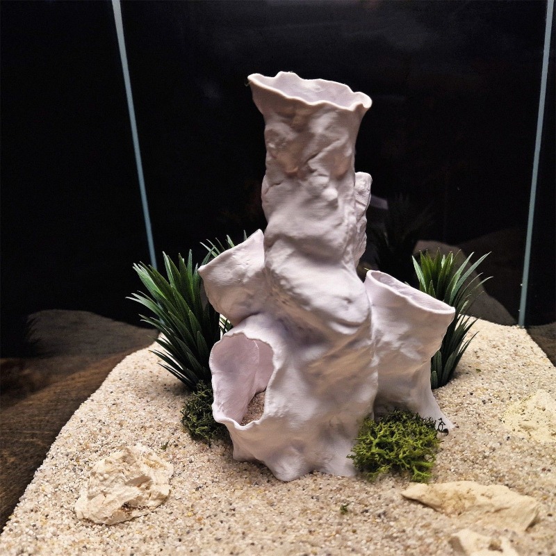 Offerta Speciale: Tunnel Coral - Planted Aquarium For Betta recensione e prezzo