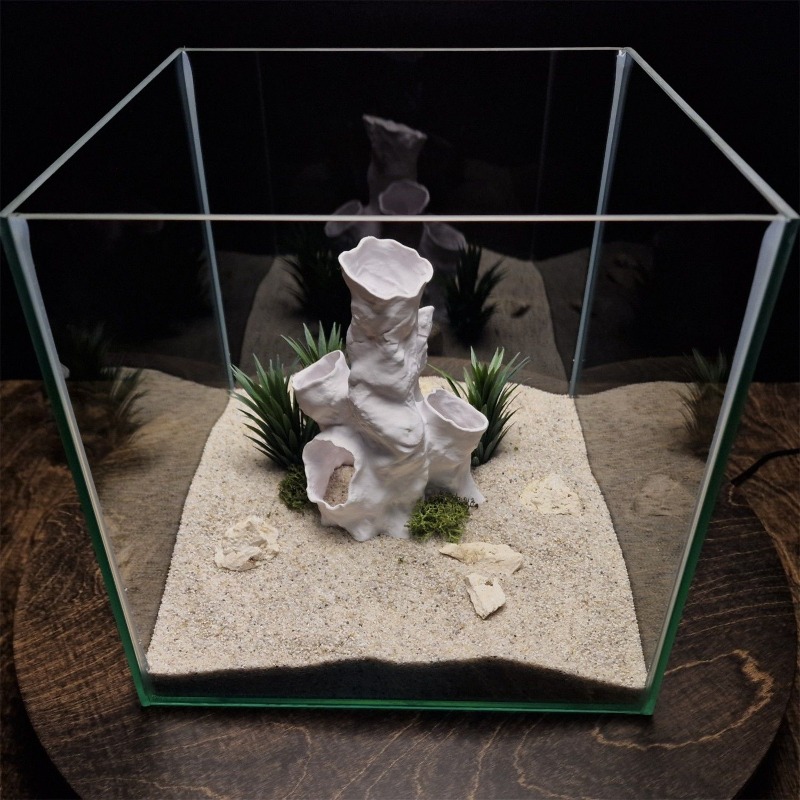 Offerta Speciale: Tunnel Coral - Planted Aquarium For Betta recensione e prezzo