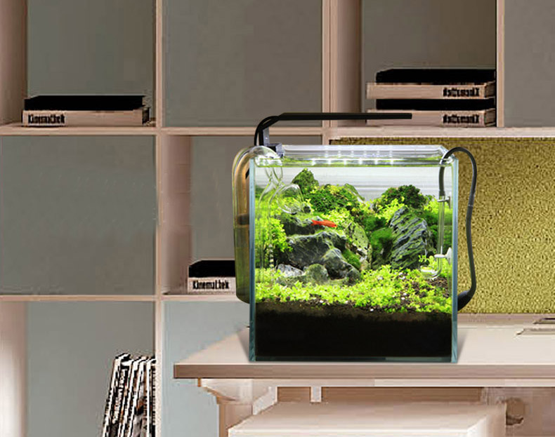 Chihiros C serie stile ADA Pia - Planted Aquarium Ada recensione e prezzo