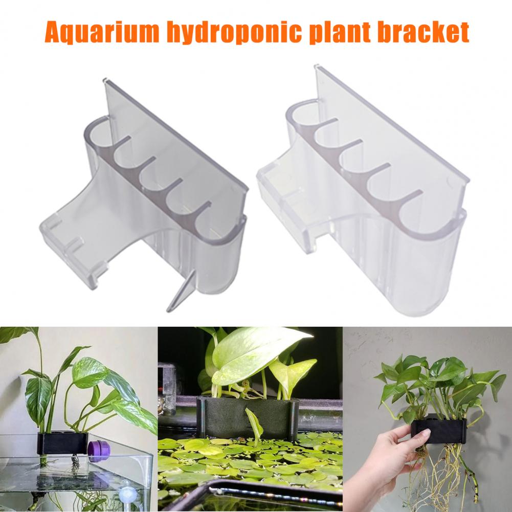 4.5/6.5 centimetri Acquario Pi - Planted Aquarium With Fish recensione e prezzo