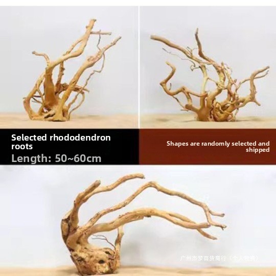 Rami di legno naturale per la  - Planted Aquarium With Fish recensione e prezzo