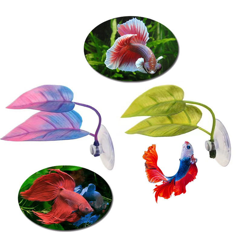 Pianta Acquatica Artificiale p - Planted Aquarium For Betta recensione e prezzo