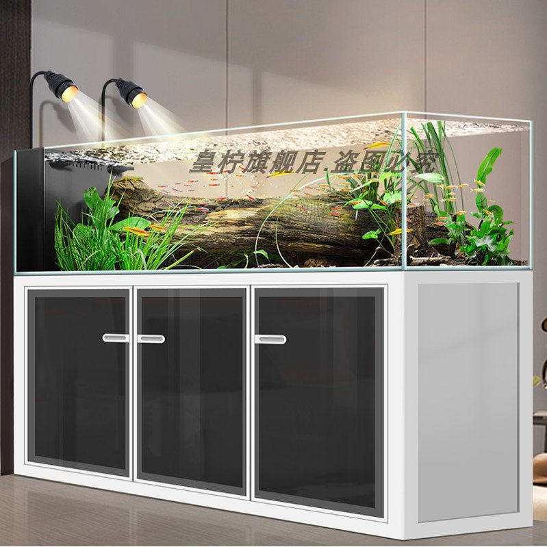 Acquario Yjq industriale con f - Aquarium Plant Vine recensione e prezzo