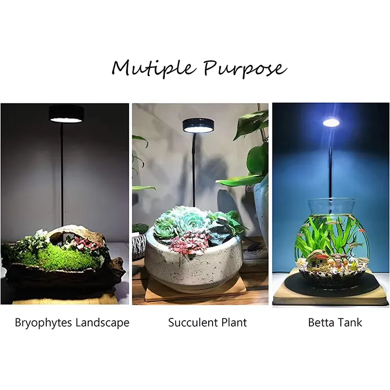 Luce LED a Spettro Completo co - Planted Aquarium For Betta recensione e prezzo