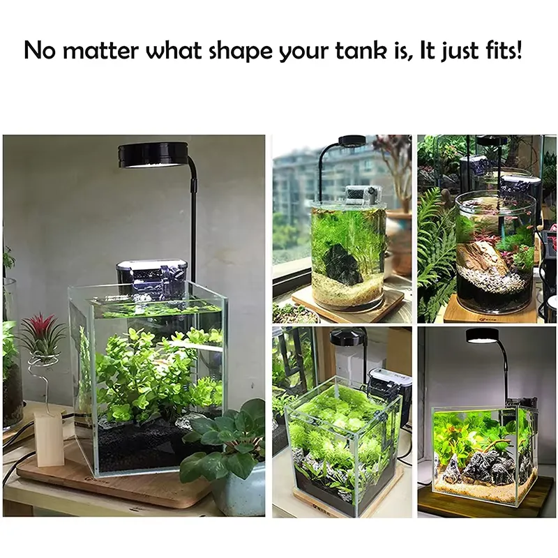 Luce LED a Spettro Completo co - Planted Aquarium For Betta recensione e prezzo