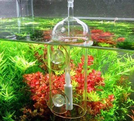 VIV Do Dispositivo Cilindro pe - Planted Aquarium Equipment recensione e prezzo