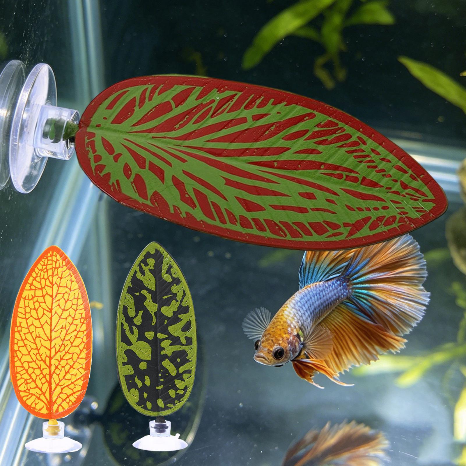 3 Pezzi Piante Artificiali per - Planted Aquarium For Betta recensione e prezzo