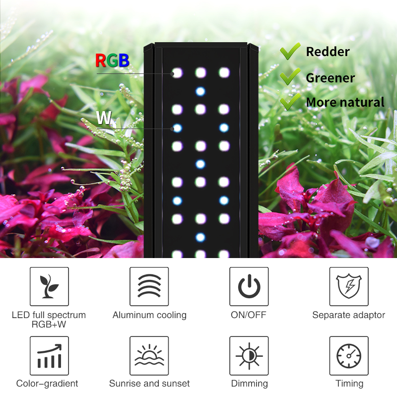 ZXY WEEK ADA Stesso tipo Cielo - Planted Aquarium Ada recensione e prezzo