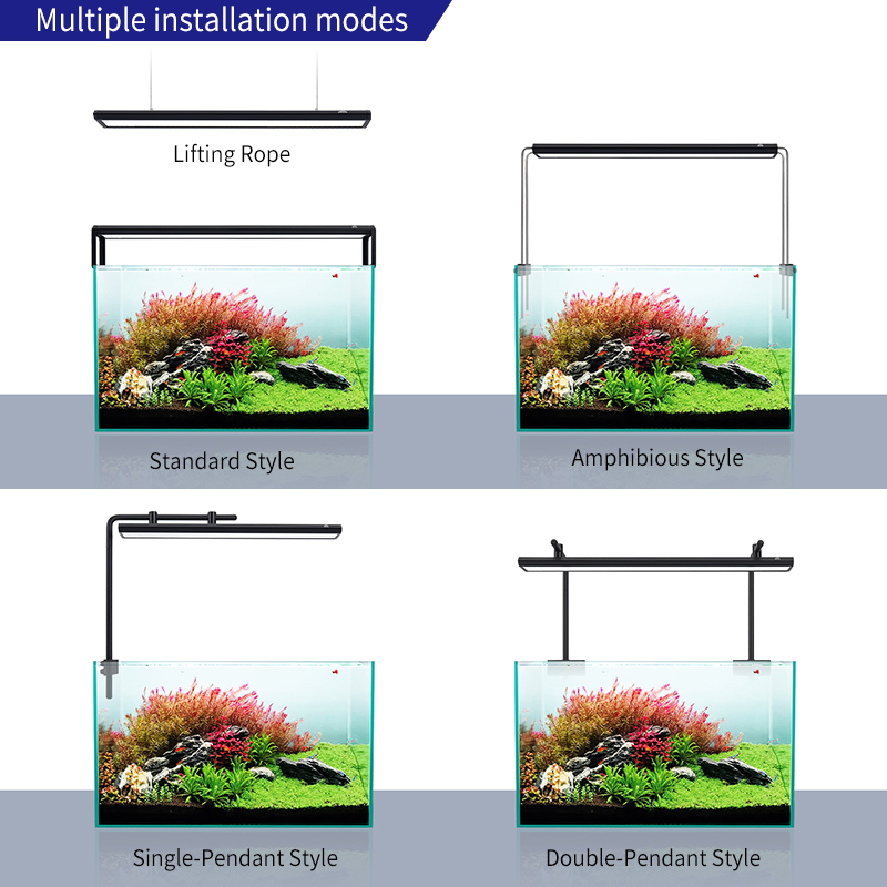 ZXY WEEK ADA Stesso tipo Cielo - Planted Aquarium Ada recensione e prezzo