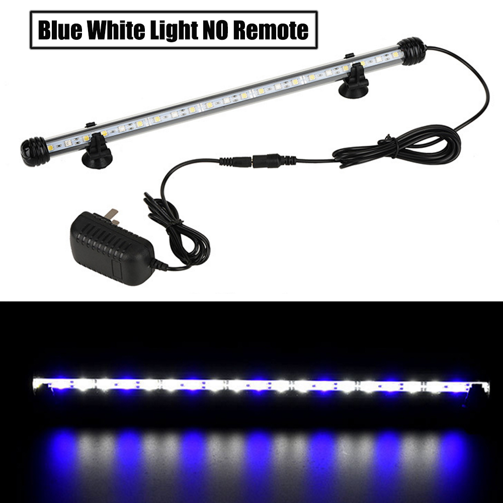 Lampada RGB 12V per Acquario c - Aquarium Plant Uk recensione e prezzo