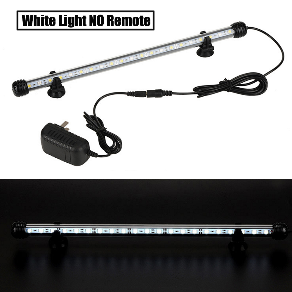 Lampada RGB 12V per Acquario c - Aquarium Plant Uk recensione e prezzo