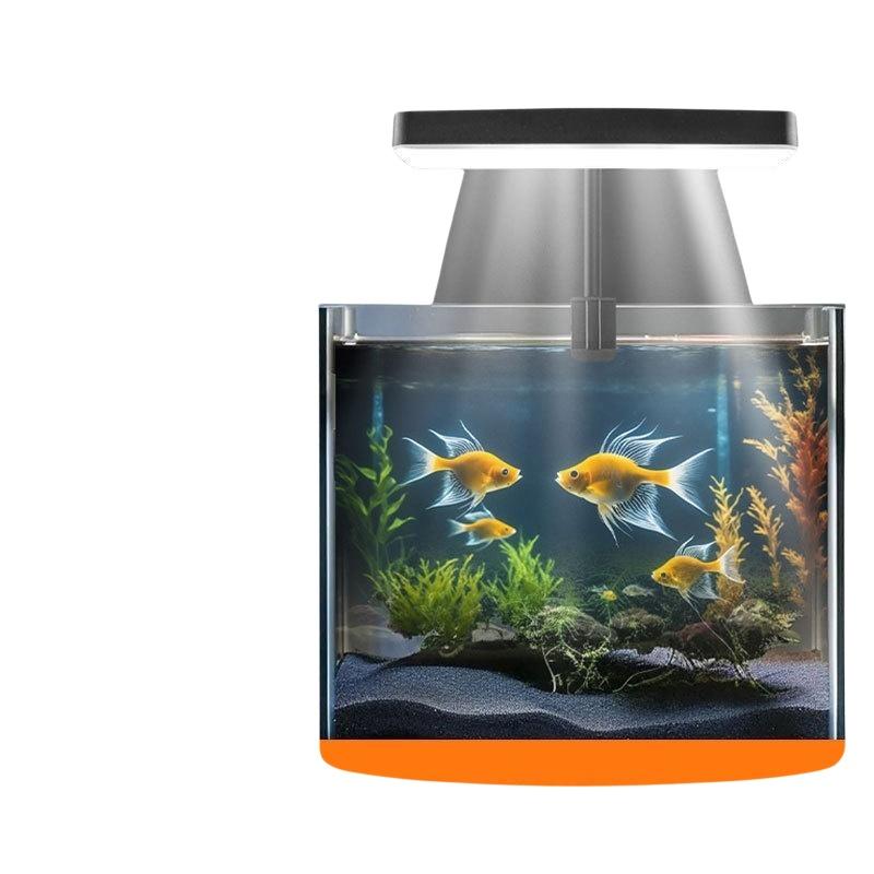 Lampada LED USB per Acquario c - Planted Aquarium With Fish recensione e prezzo