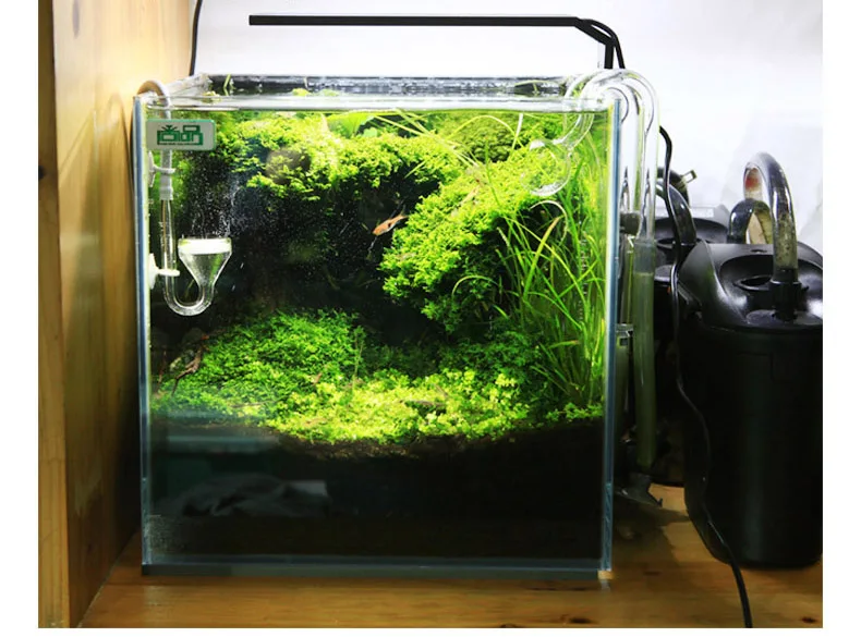 Chihiros Serie C Pianta in sti - Planted Aquarium Ada recensione e prezzo