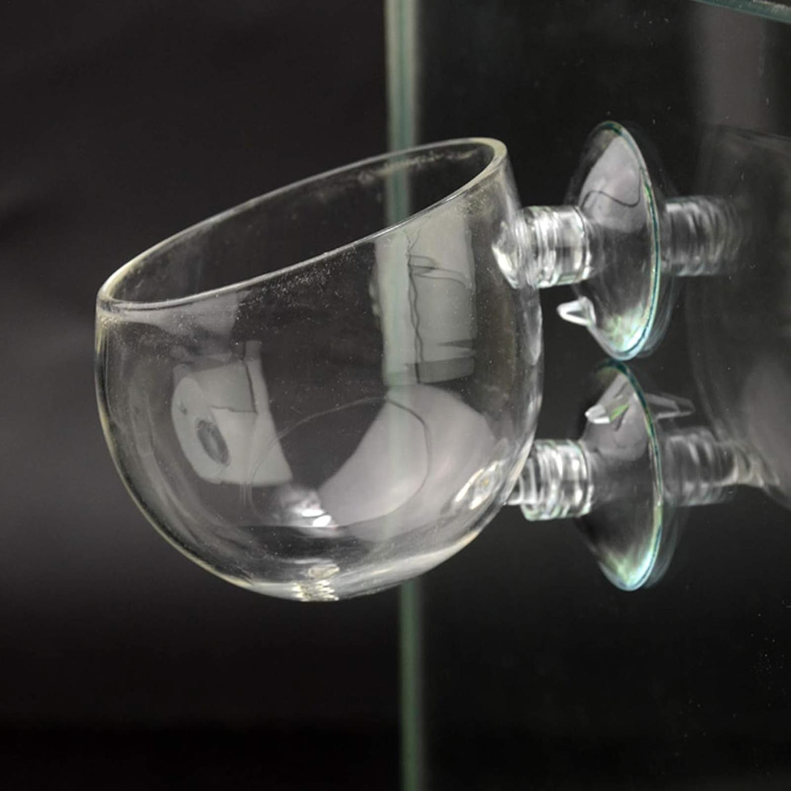 Vaso in vetro per piante acqua - Planted Aquarium Maintenance recensione e prezzo