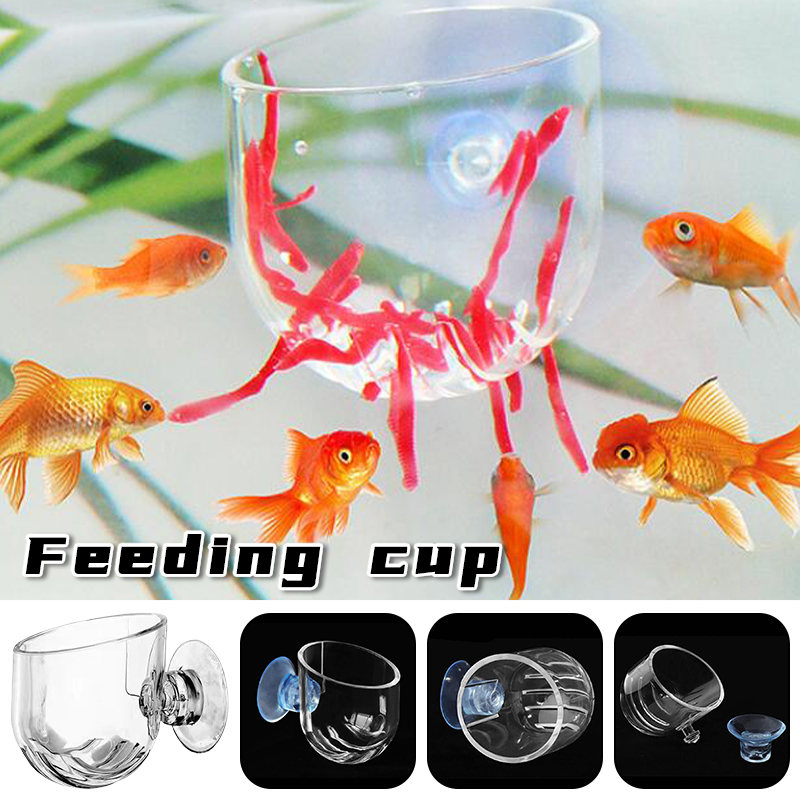 Acquario Tazza per mangiatoia  - Aquarium Plant Red recensione e prezzo