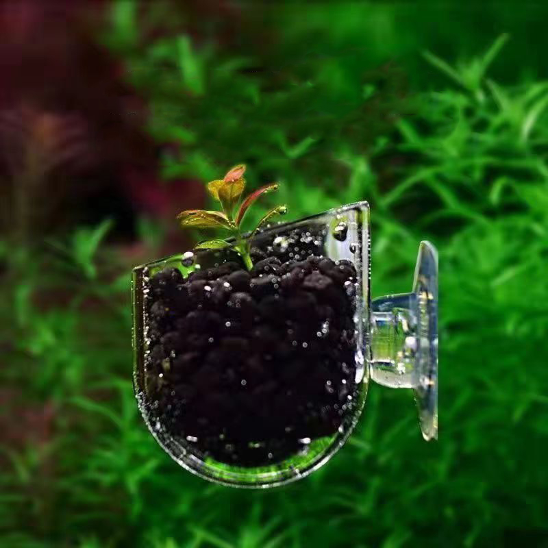 Acquario Tazza per mangiatoia  - Aquarium Plant Red recensione e prezzo