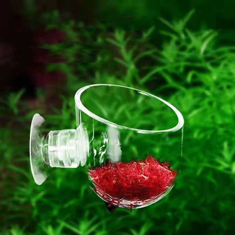 Acquario Tazza per mangiatoia  - Aquarium Plant Red recensione e prezzo
