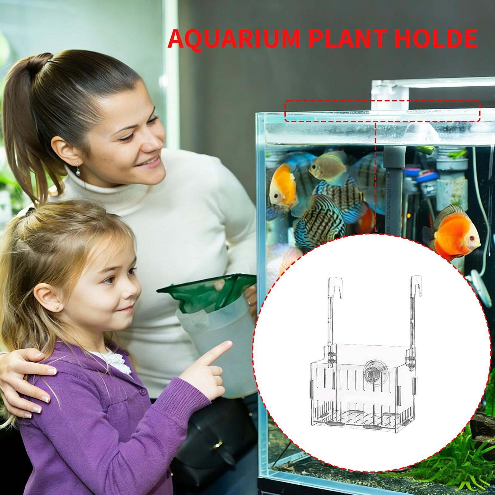 Supporto per Piante d'Acquario - Aquarium Plant Vine recensione e prezzo