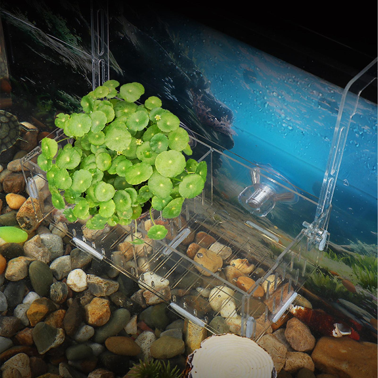 Supporto per Piante d'Acquario - Aquarium Plant Vine recensione e prezzo